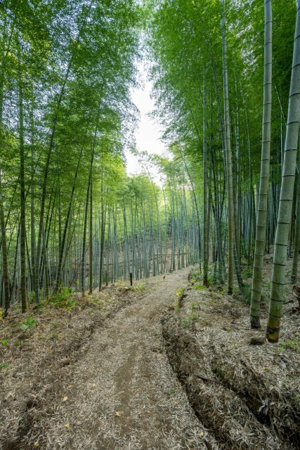 湯山の里　温泉