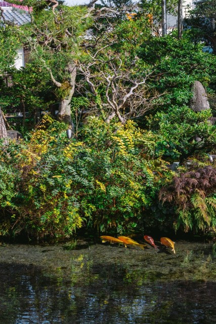 湧水庭園 四明荘