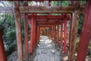 祐徳稲荷神社