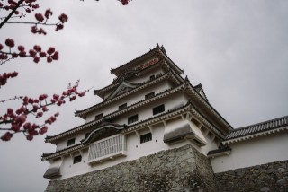 唐津城とその周辺の景色