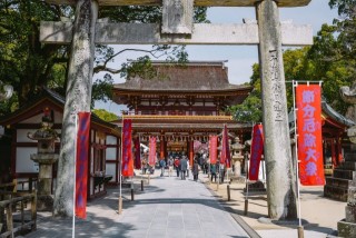 太宰府天満宮と梅　※
